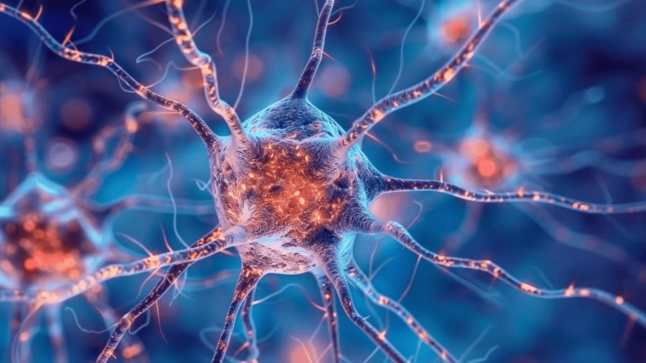 Brain Cells That Enhance Memory Focus and Storage Identified